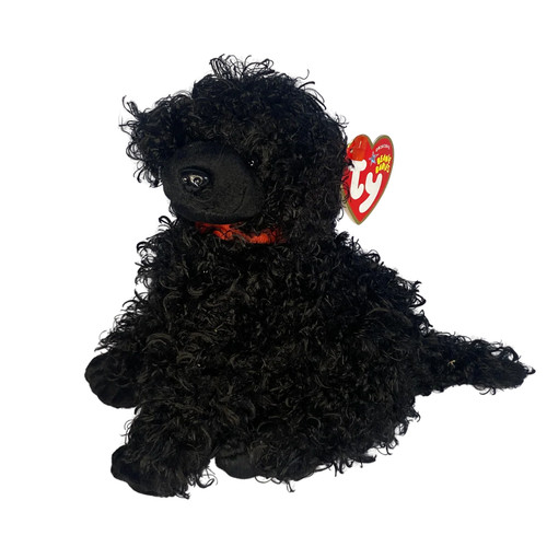 Smudges the black - , poodle