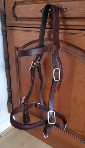 Quality inhand bridle red - inhand,