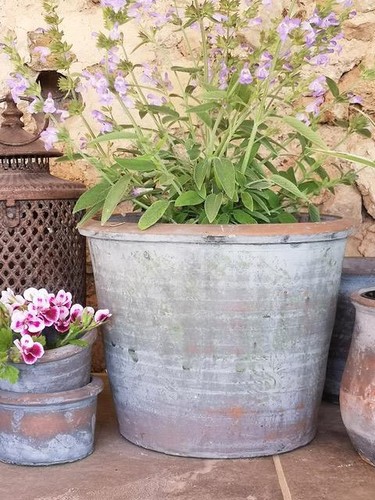 Vintage tulip pot rustic - vintage, pot,