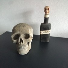 Cabinet of Curiosities Gothic Oddity Skull + bottle