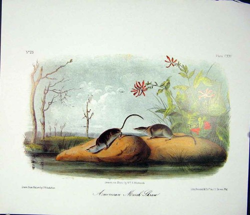 Original old antique - old,