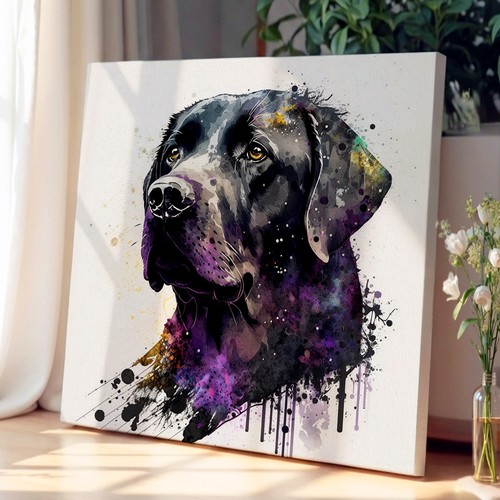 Labrador retriever splatter - labrador,