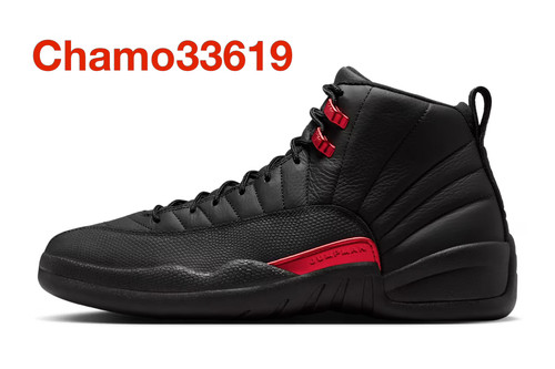 Nike air jordan - 12, retro