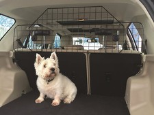 Pet & Driver Safety Car