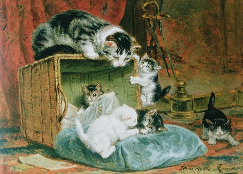 Henriette ronner knip - cat, art