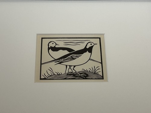 White wagtail framed - ‘white,