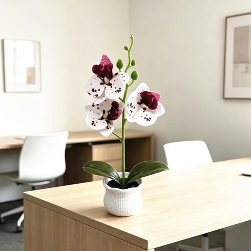 Phalaenopsis orchid artificial - orchid,
