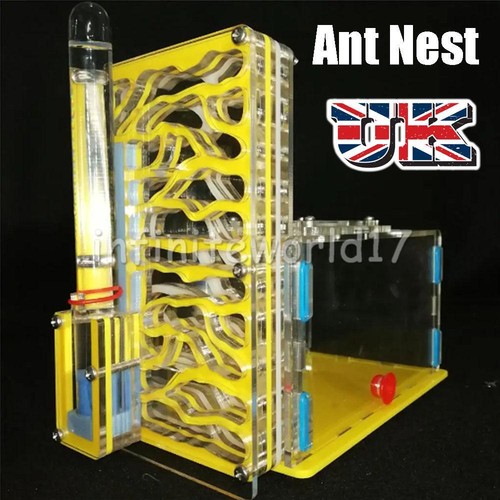 New acrylic bio formicarium - new,