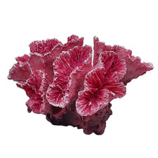 Swell Artificial Coral Pink