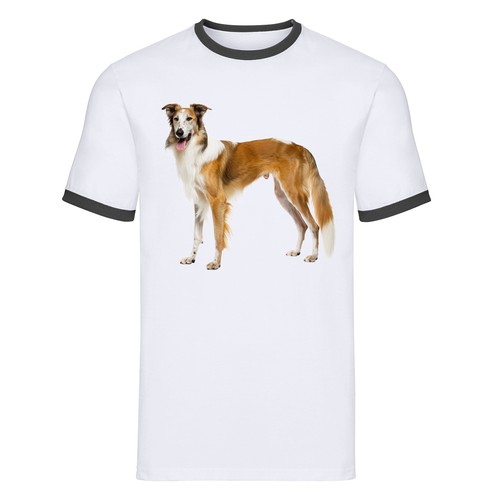 Borzoi russian wolfhound - russian,