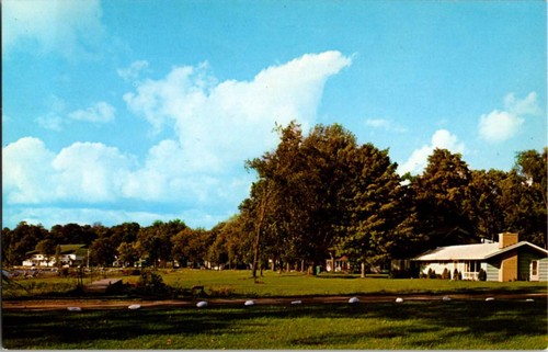 Maple springs postcard - springs, ny
