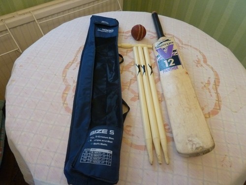 Slazenger purple panther - slazenger,