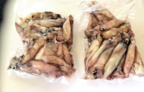 Packs solent baits - of,