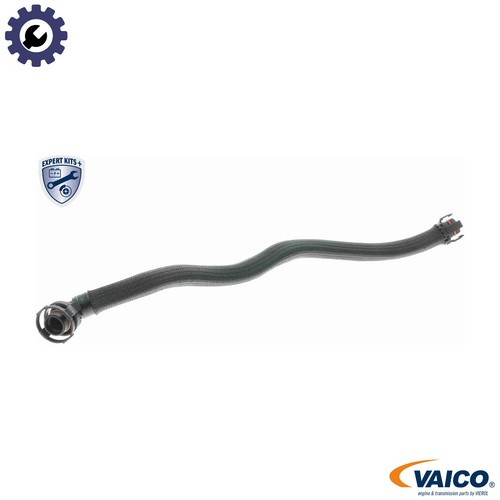 Hose crankcase ventilation - crankcase,