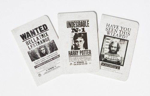 Harry potter wanted posters - harry,