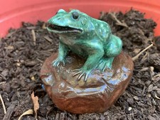 LATEX RUBBER MOLD  Of A Frog