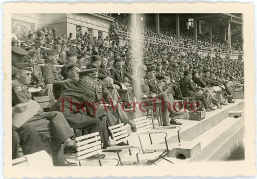 Wwii photo army - photo-,