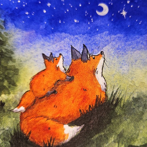 Fox moon star - fox,