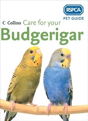 Care for your budgerigar - care,