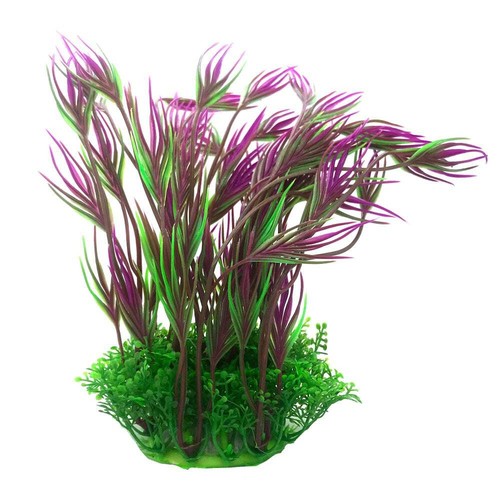Betta choice purple - purple, &