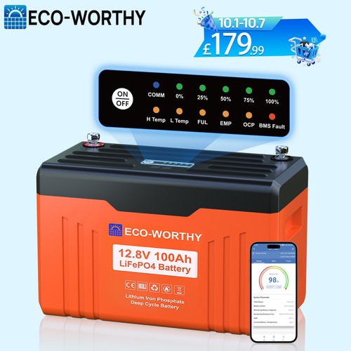 Eco worthy 12v 100ah lithium - 12v,