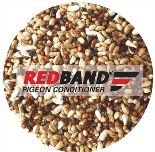 Red band pigeon - red, conditioner