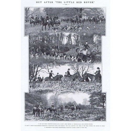 Fox hunting scenes - fox, meets