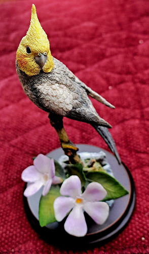 Country artists birds - country, of