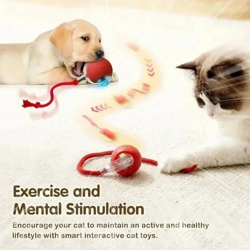 Smart interactive cat toy - interactive, ball