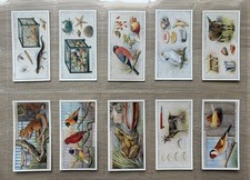 A Complete Set of Faulkner