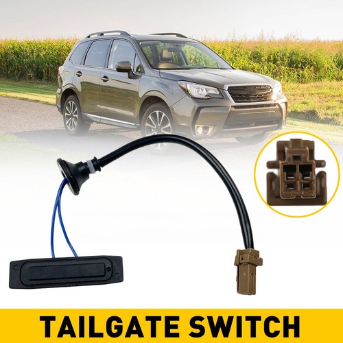 Tailgate switch trunk - tailgate,