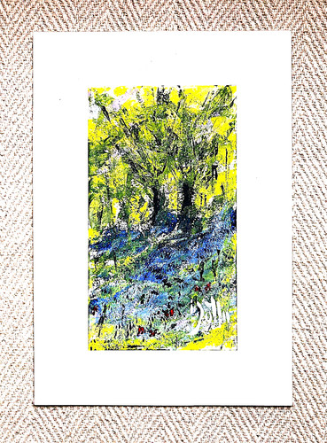Shropshire bluebell wood - "shropshire,