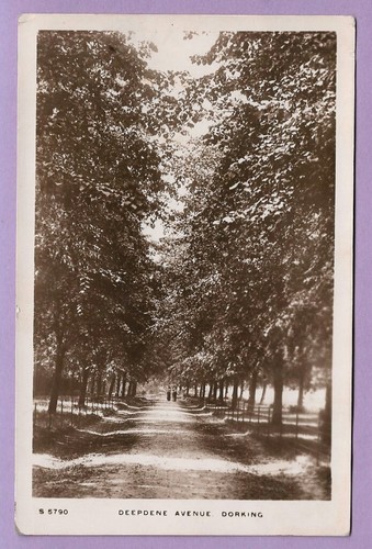 0374 surrey p - [0374], postcard