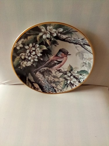 Wedgewood rspb centenary plate - wedgewood,