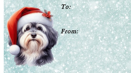 Havanese dog christmas labels - dog,