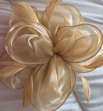 Biege Coloured Hair Fasinator