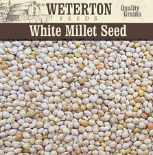 Red and White Millet Mix – Budgie, Canary, Finch and Parrot Feed – Clean Seed