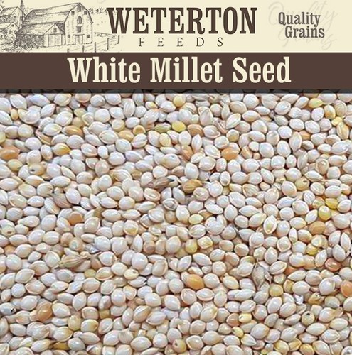 Red and white - white, mix