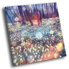 Colourful White Flowers Nature Square Scenic Canvas Wall Art Large Picture Print