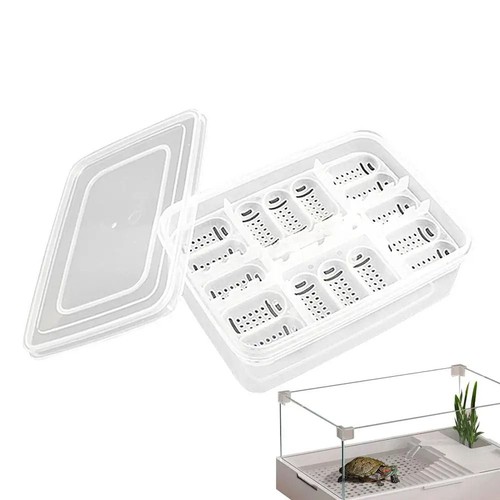 Reptile egg box transparent - egg,