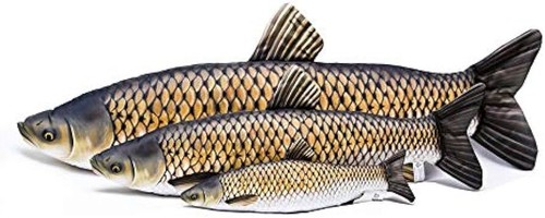 Gaby grass carp - gaby, sizes)