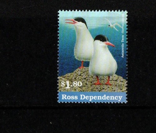 Ross dependency 1997 - ross, sg53
