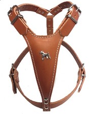 Beautiful brown leather dog - beautiful,