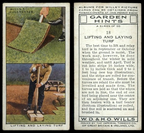Lifting laying turf - turf, #18
