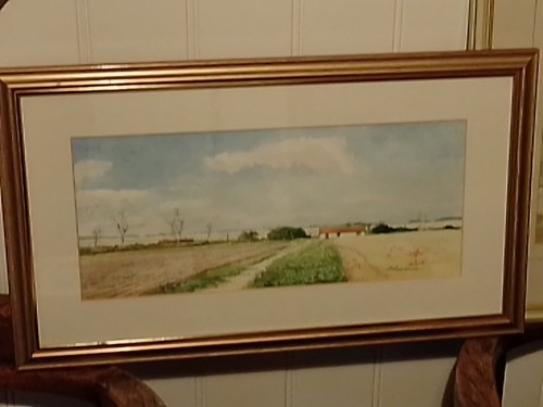 Framed watercolour painting - framed,