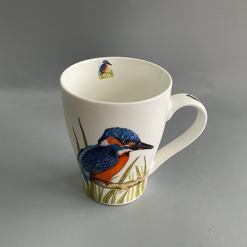 Kingfisher the leonardo - kingfisher,