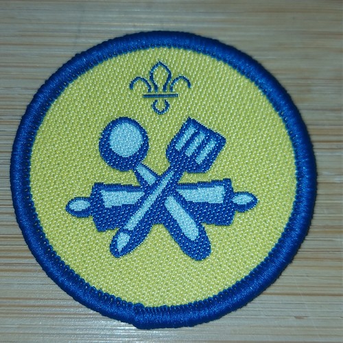 Scouting current beaver - uk,