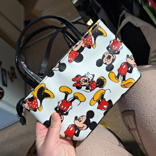 Disney mickey minnie mouse - mickey, &