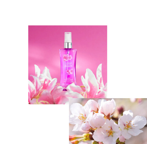 Body fantasies spray - body,