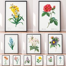 Botanical Flower Floral Retro